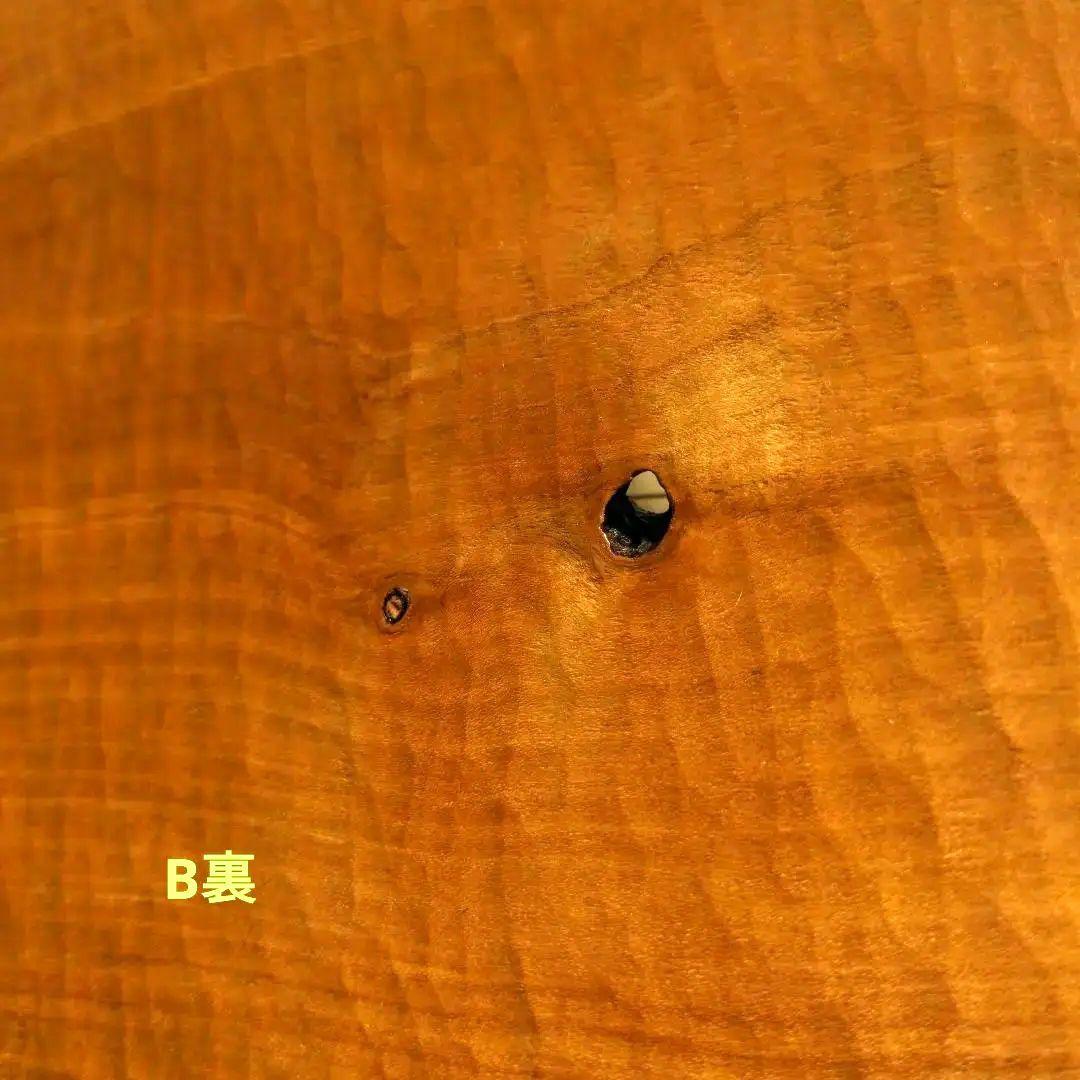 タオライアー 専用ケース付き 2014年製