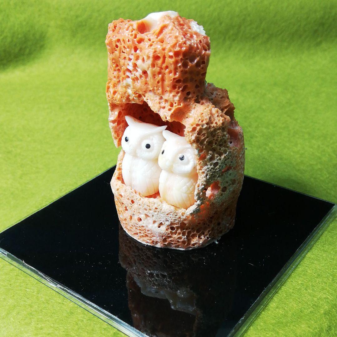 貴重　宝石珊瑚　夫婦ふくろう　彫刻置物　3578