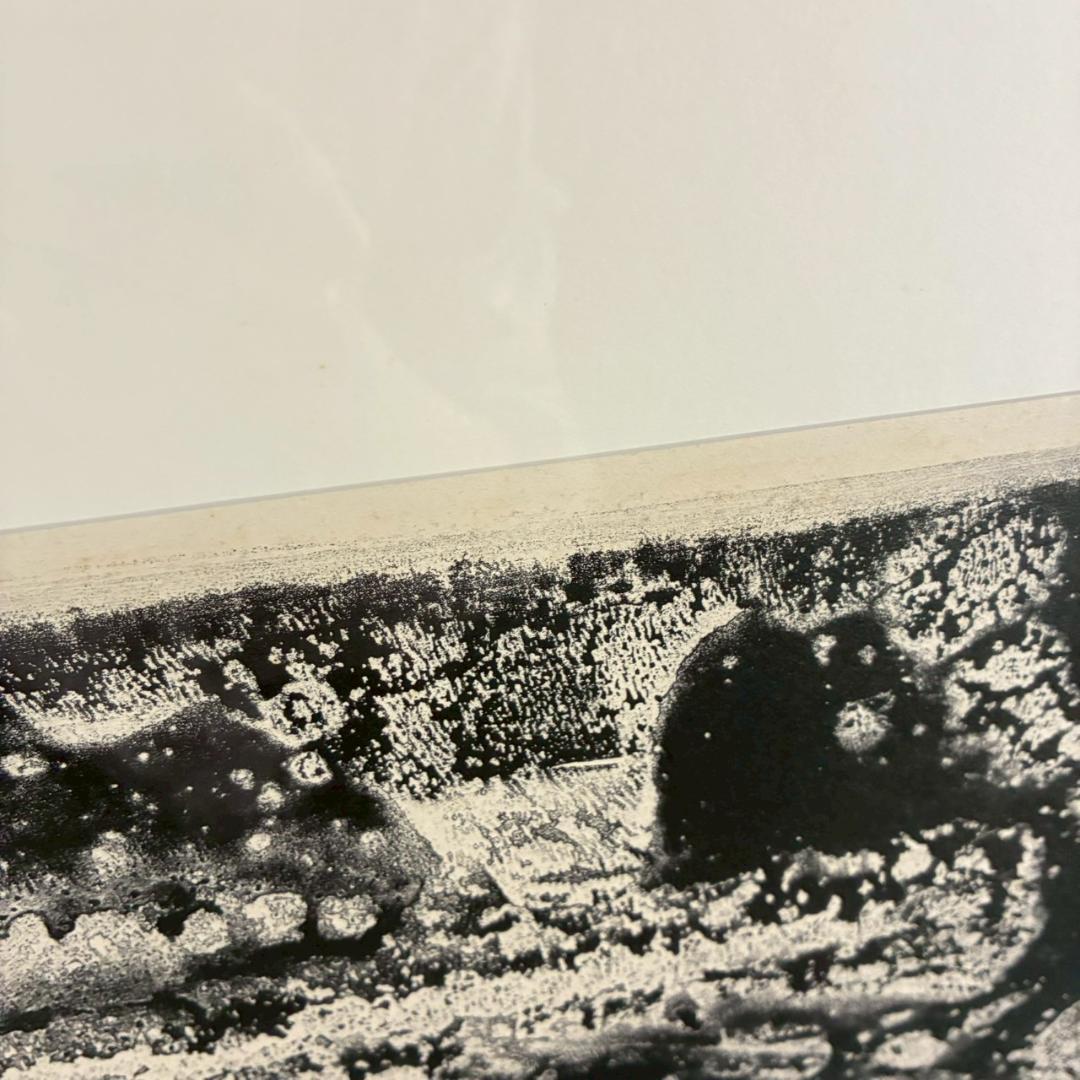 アントニ・クラーベ「枯葉の静物」大作 リトグラフ 直筆サイン入 額縁