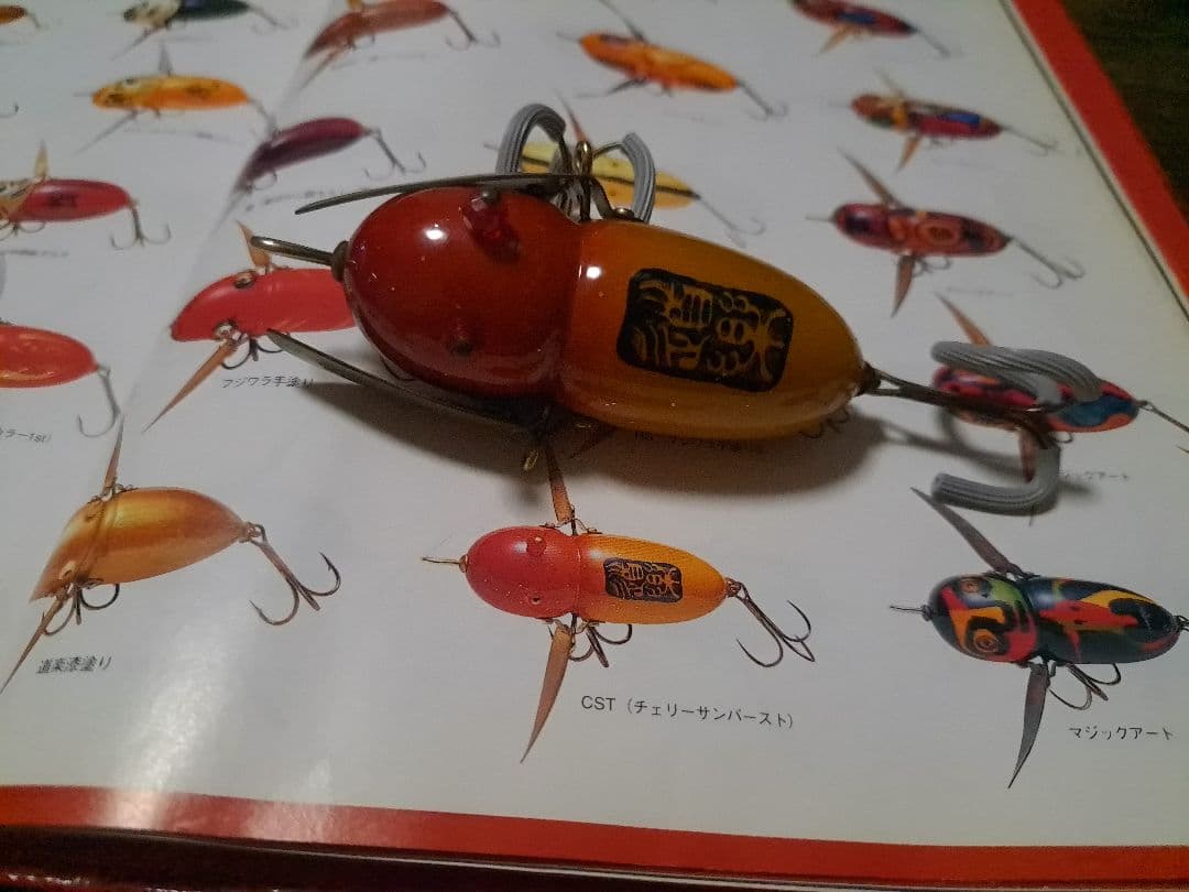 道楽　DOWLUCK 　ドウラク　アブラゼミ　チェリーサンバースト