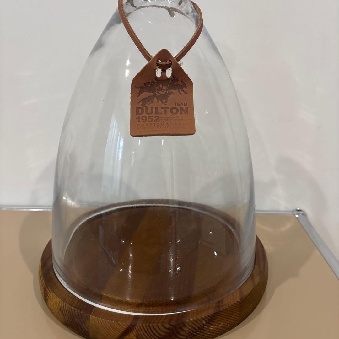 ダルトン ガラスドーム ガラスクローシュ 木製台座 ディスプレイ