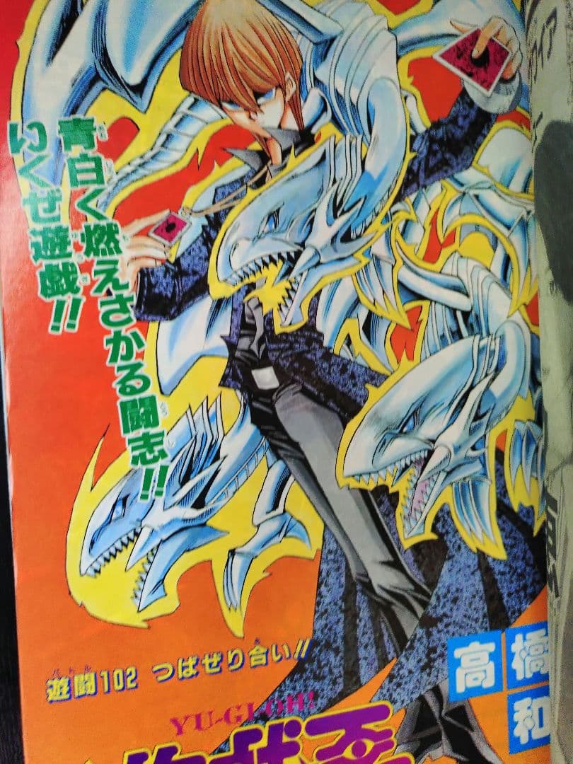 【週刊少年ジャンプ1998年47号】ワンピース　第1回キャラクター人気投票結果b