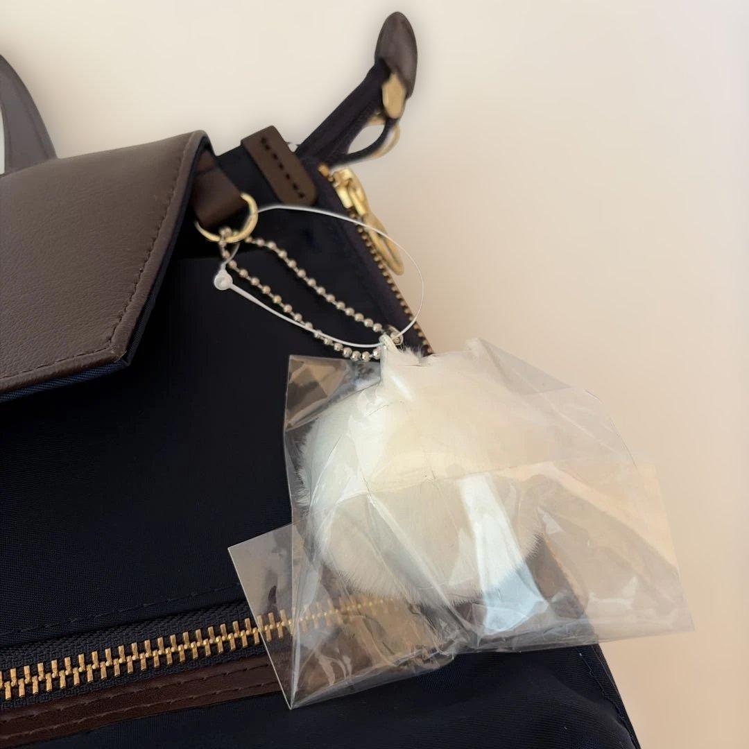 【未使用品】カナナプロジェクト ユリシリーズ リュック 2way