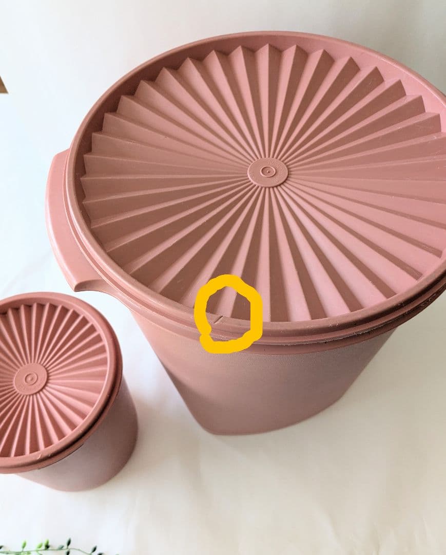 タッパーウェア マキシデコレーター 2個 フタを押すだけで簡単密閉