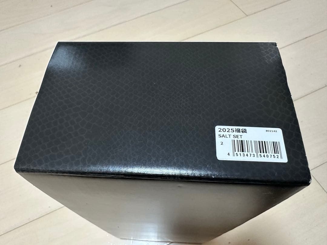 メガバス福袋2025_for SALT_キリンジ120_カゲロウ124F