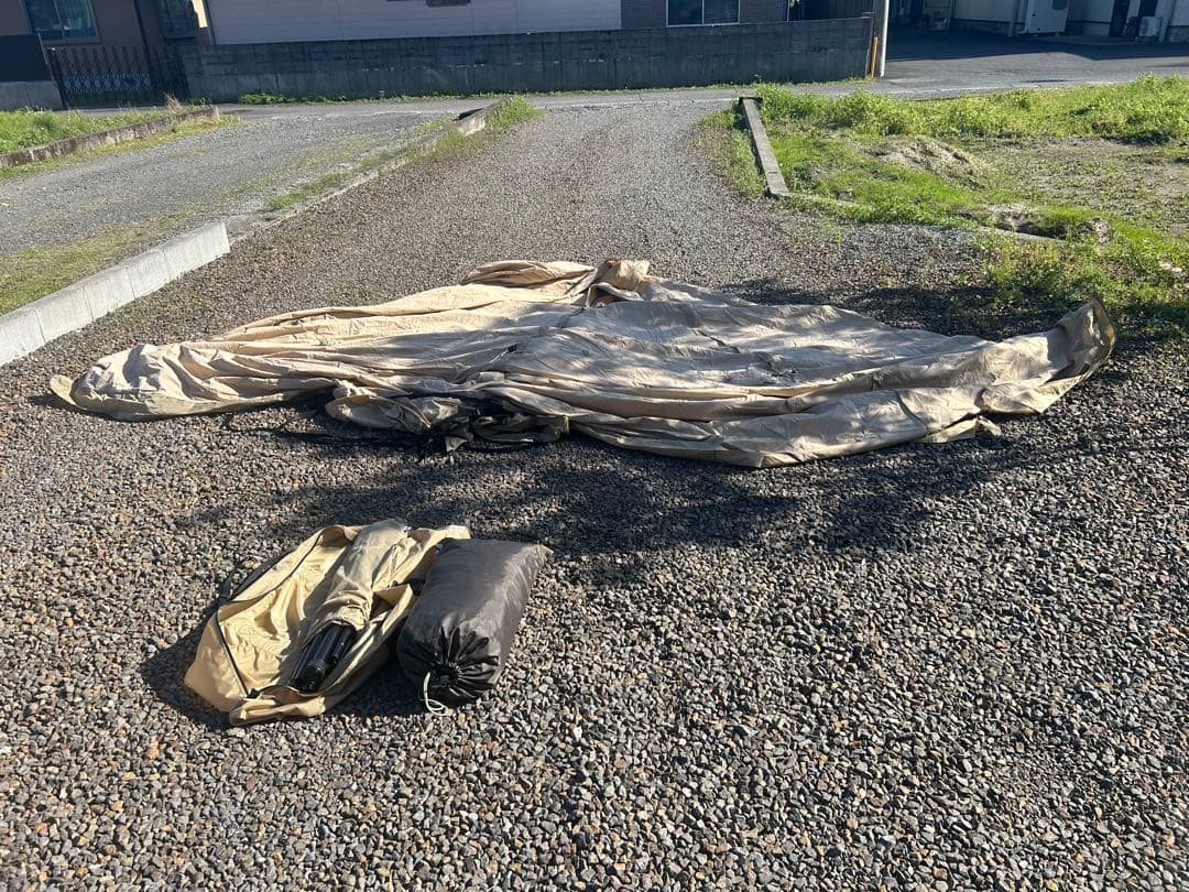 ✨shintaro3696✨さん専用 モーニンググローリーtc