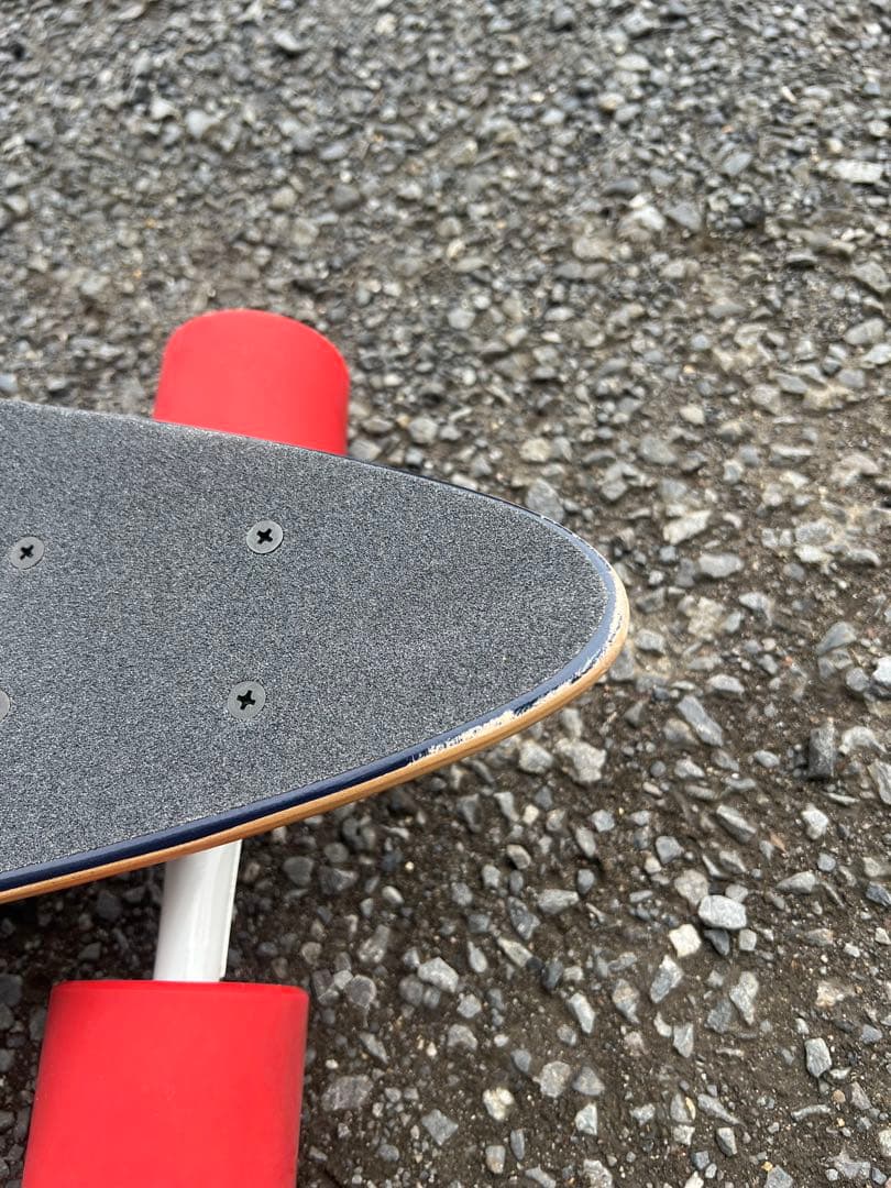 Z-FLEX 38インチ　ロングスケートボード