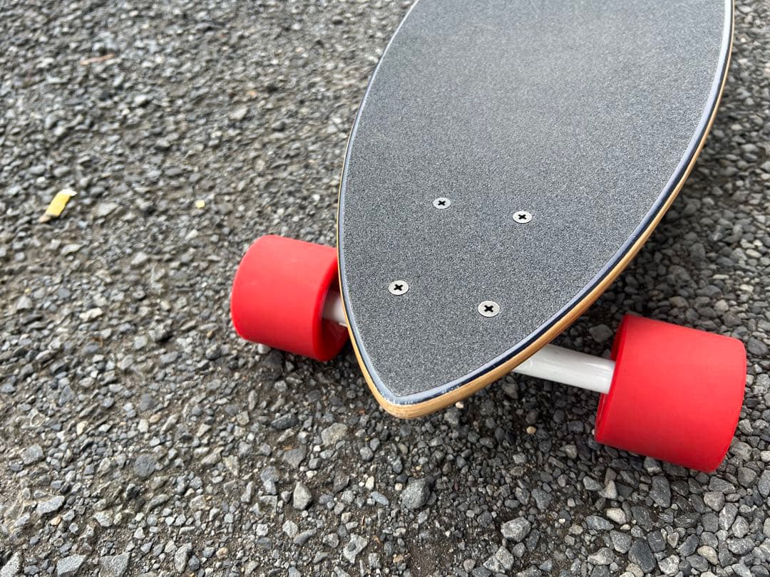 Z-FLEX 38インチ　ロングスケートボード