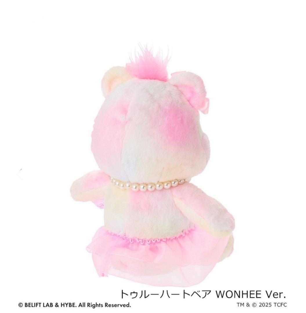 ILLIT ウォンヒ ケアベア ぬいぐるみ ソフトキーチェーン 2点セット