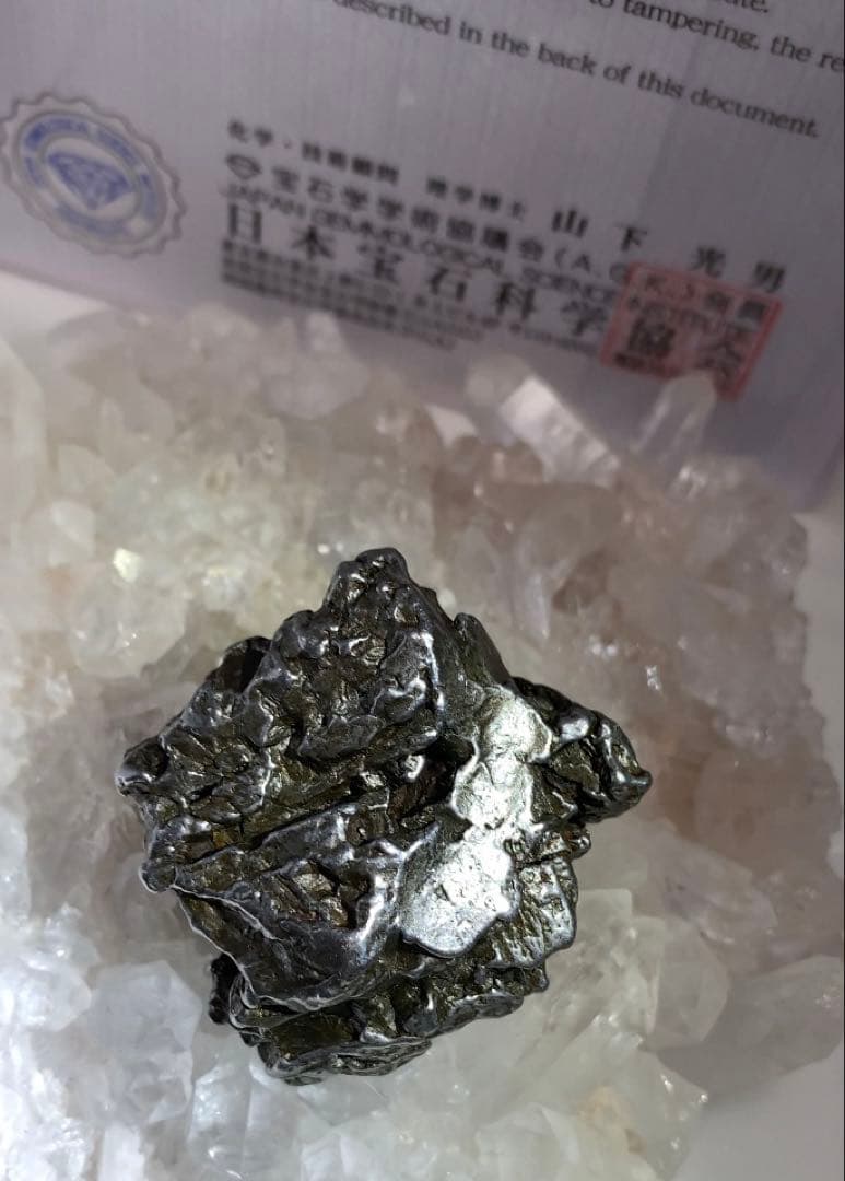 【つーる】カンボ•デル•シエロ　鉄隕石　流れ星　鑑別証付き