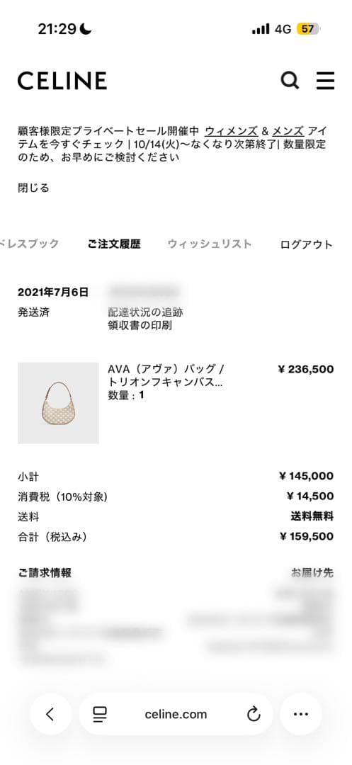 CELINE トリオンフキャンバス AVA（アヴァ）バッグ