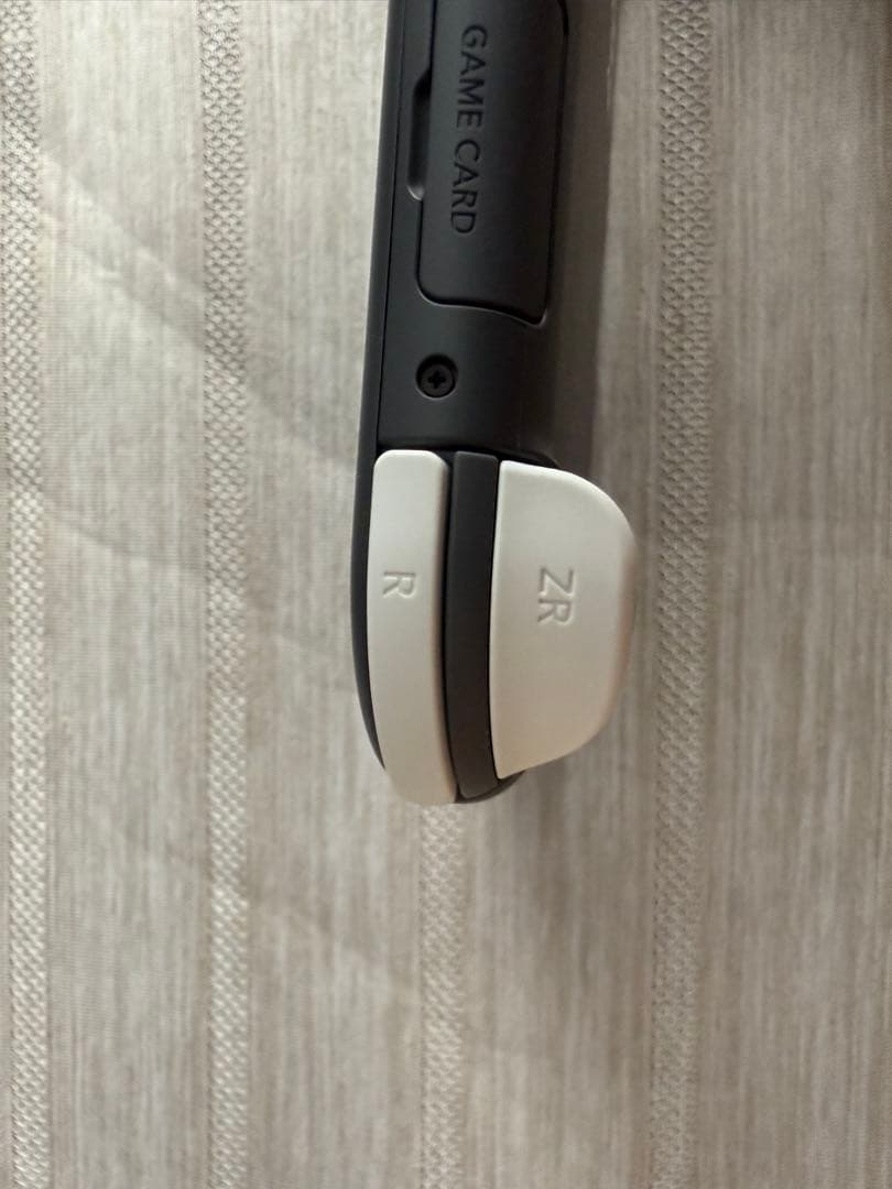 Nintendo Switch Lite グレー 本体　美品　　おまけつき