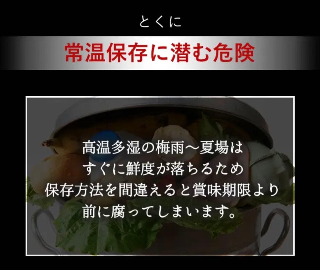 【新品未使用】OoBLE オーブル 真空保存容器 BLACK ノーマル 13L