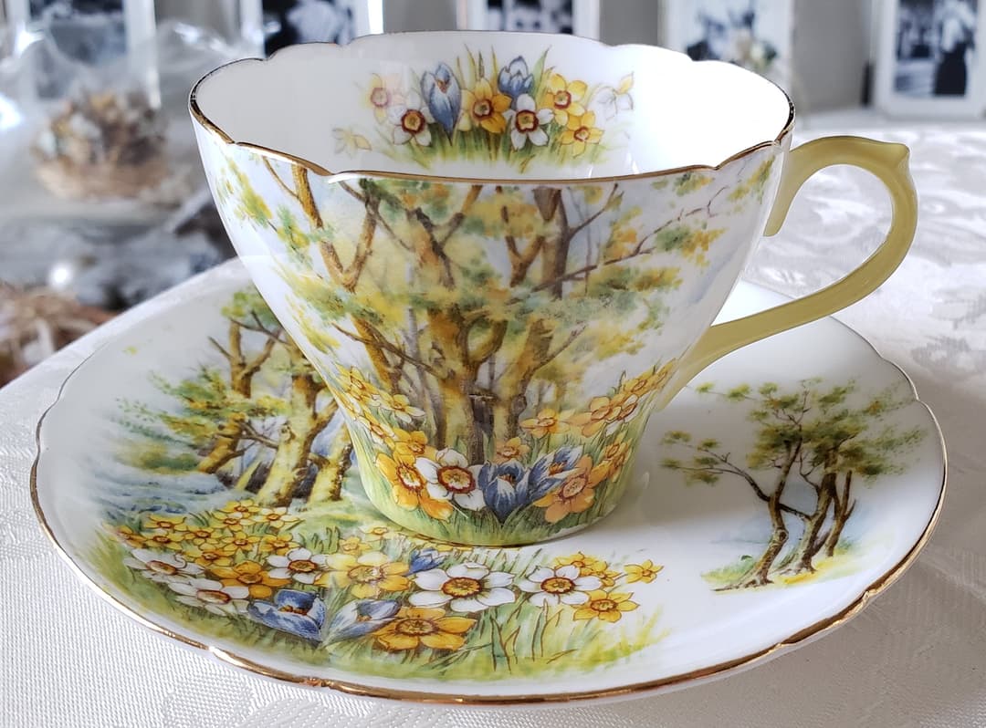 シェリー ③ ダフォディルタイム 水仙 風景画 カップ ビンテージ