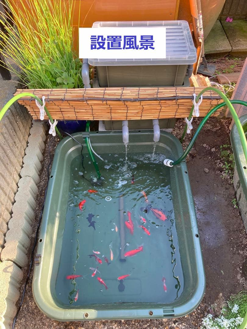 【RA様】三段式外部ろ過装置（個人製作濾過装置）【メダカ・金魚・錦鯉の屋外飼育】