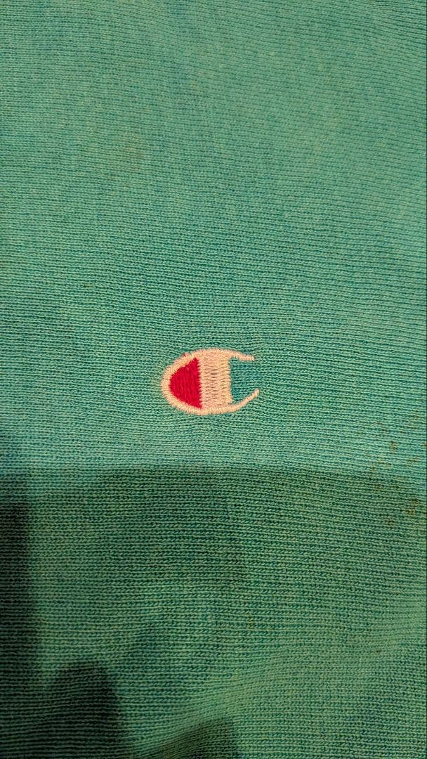 Championリバースウィーブスウェットシャツ L(トリコタグ)古着