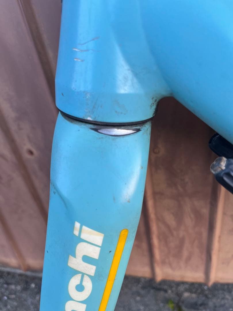 BIANCHI VIA NIRONE7 サイズ46 フレーム