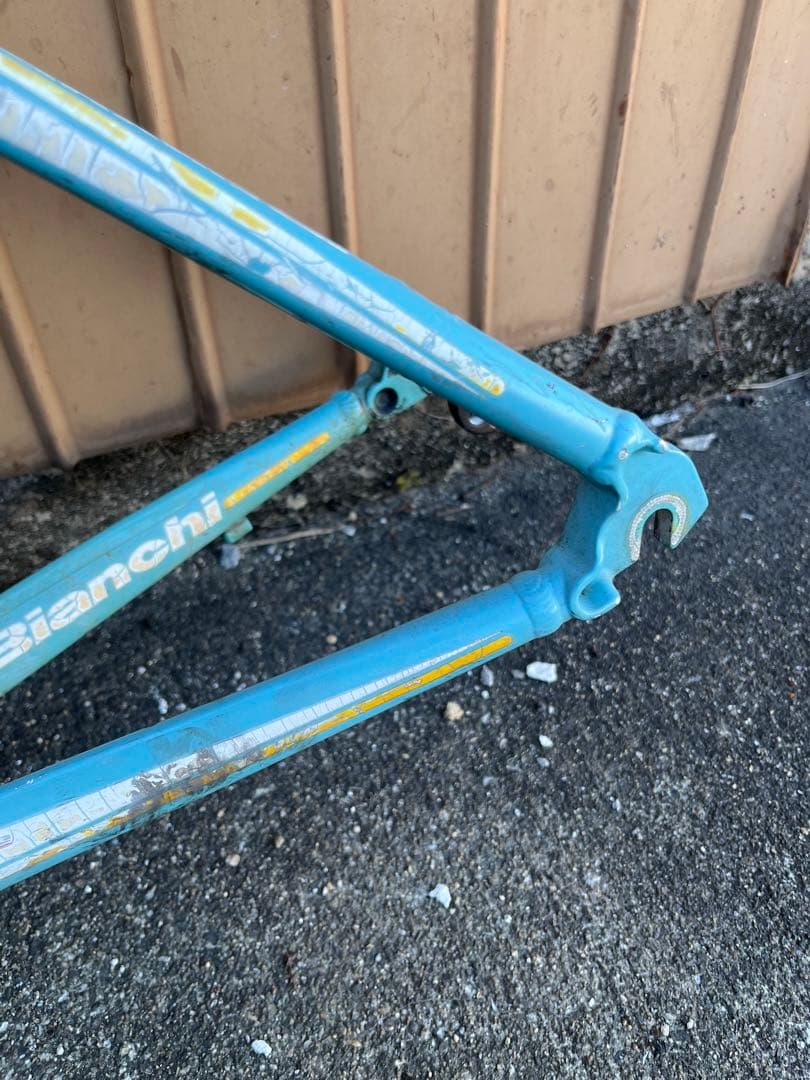 BIANCHI VIA NIRONE7 サイズ46 フレーム