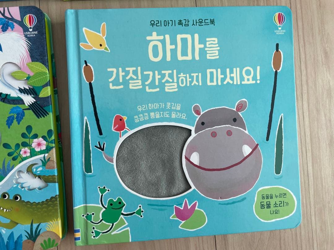 韓国Usborne サウンドブックセット