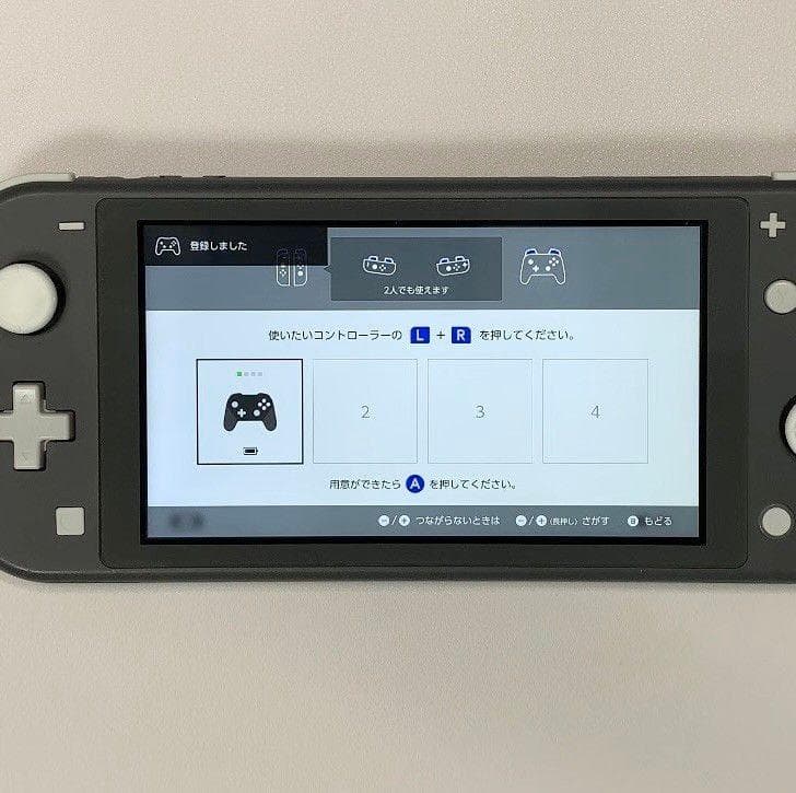 Nintendo Switch Lite 本体 動作品2020