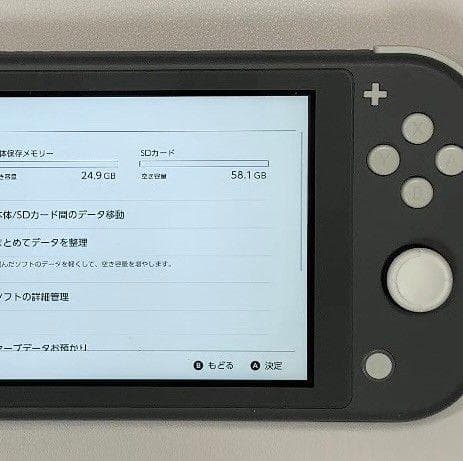 Nintendo Switch Lite 本体 動作品2020