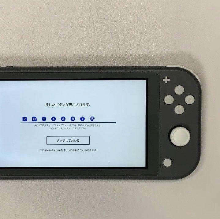 Nintendo Switch Lite 本体 動作品2020