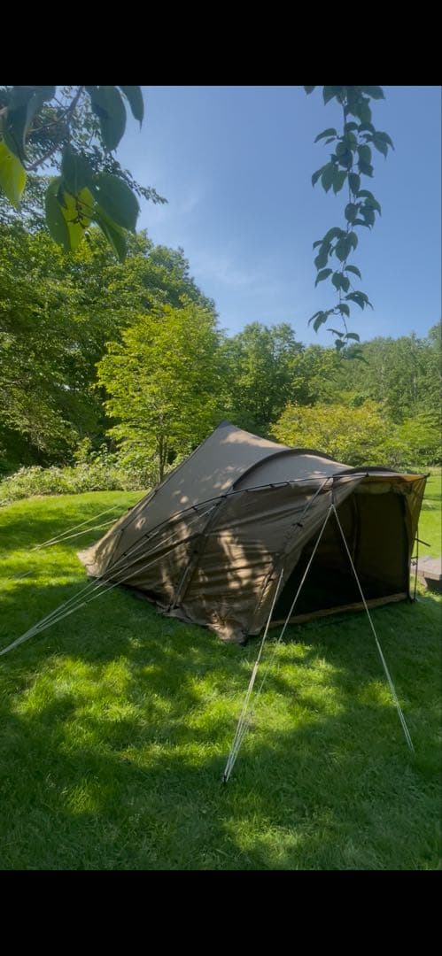 Zane Arts / lolo-M / ガイロープ取付済み