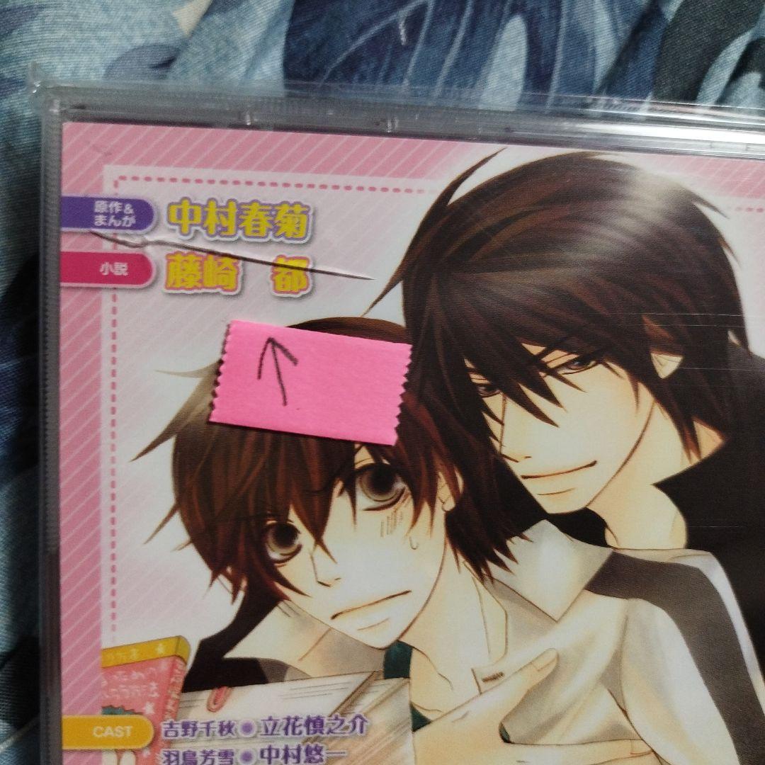 ＢＬＣＤ　中村春菊　世界一初恋