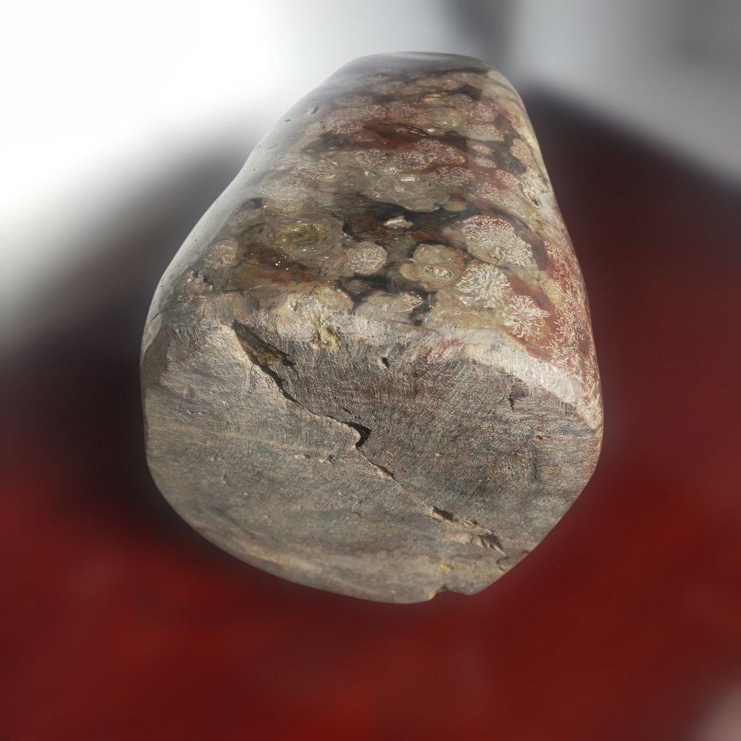 花紋石　青森県深浦町産　４０６０g　管理No.71105