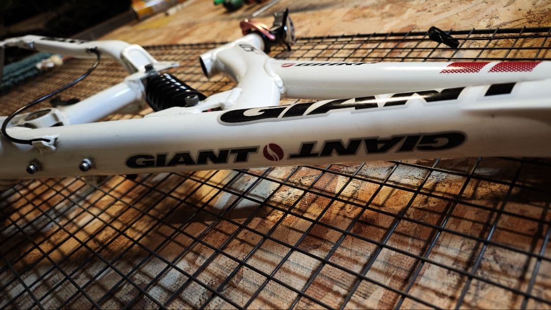 GIANT WARP DS1 フレーム16.5 42cm