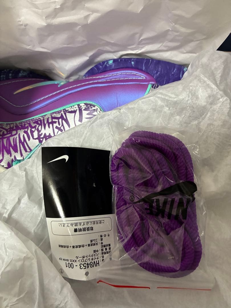 h*6様 Nike レブロン22EP