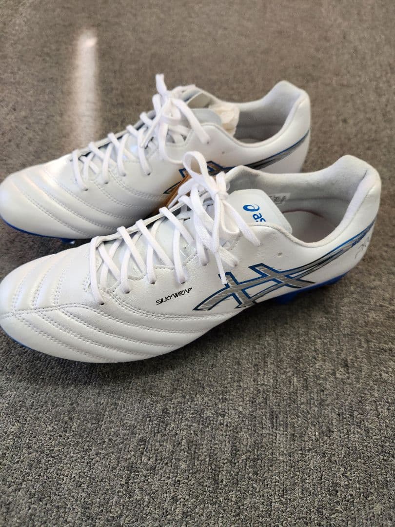 DS LIGHT X-FLY PRO 3 ST新品未使用　27cm 最新カラー