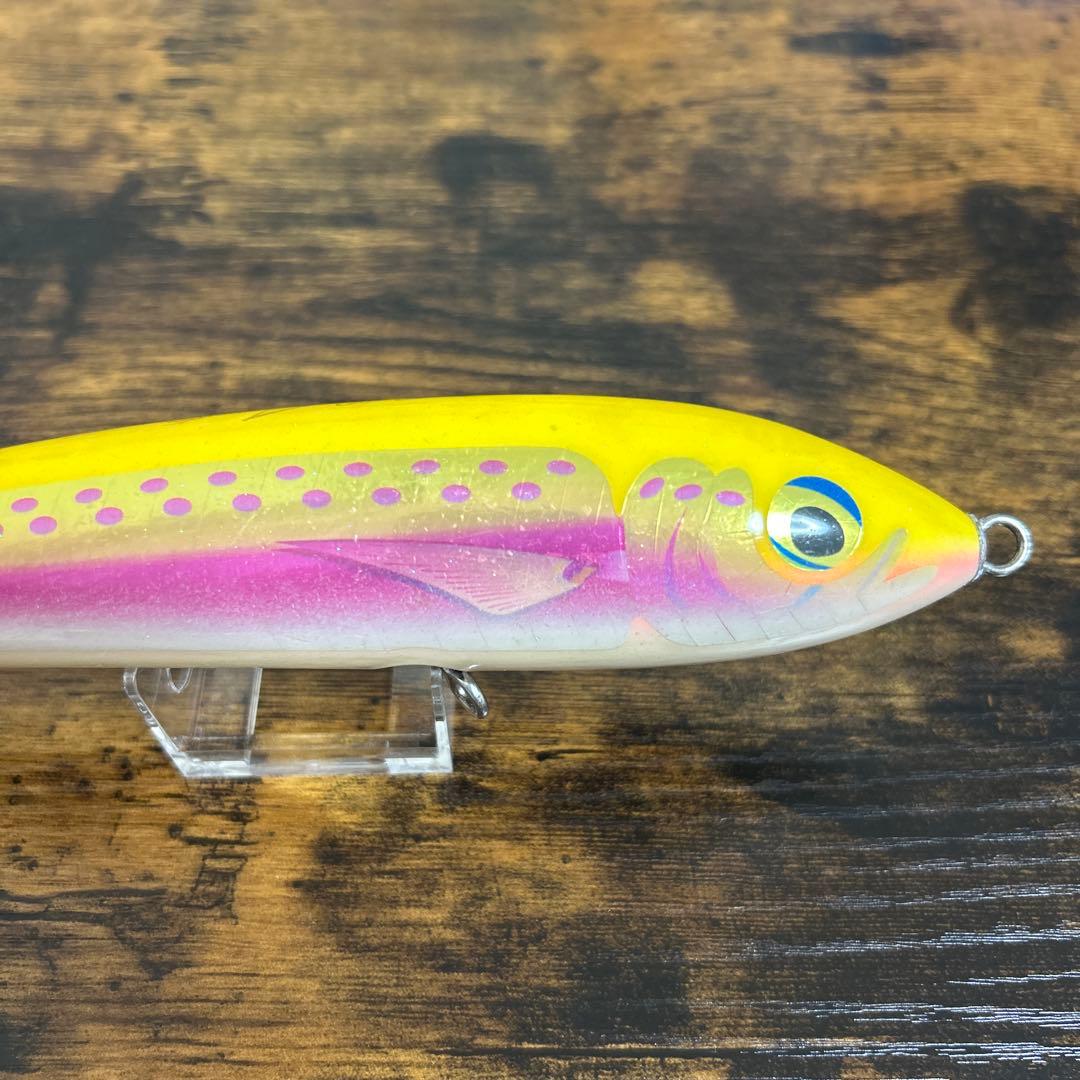 カーペンターブルーフィッシュ100