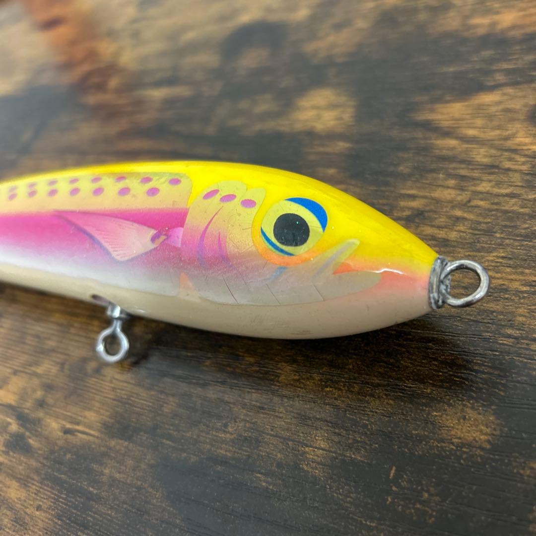 カーペンターブルーフィッシュ100