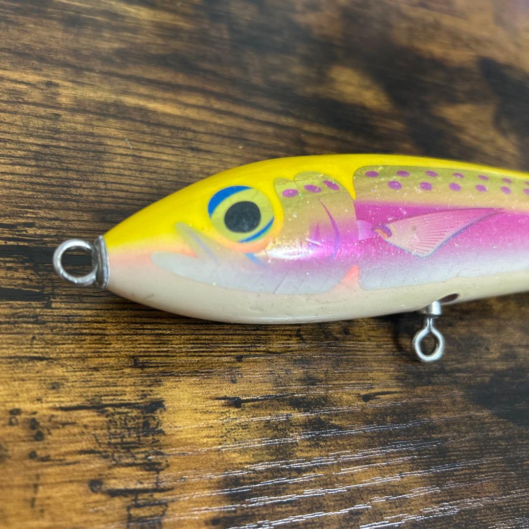 カーペンターブルーフィッシュ100