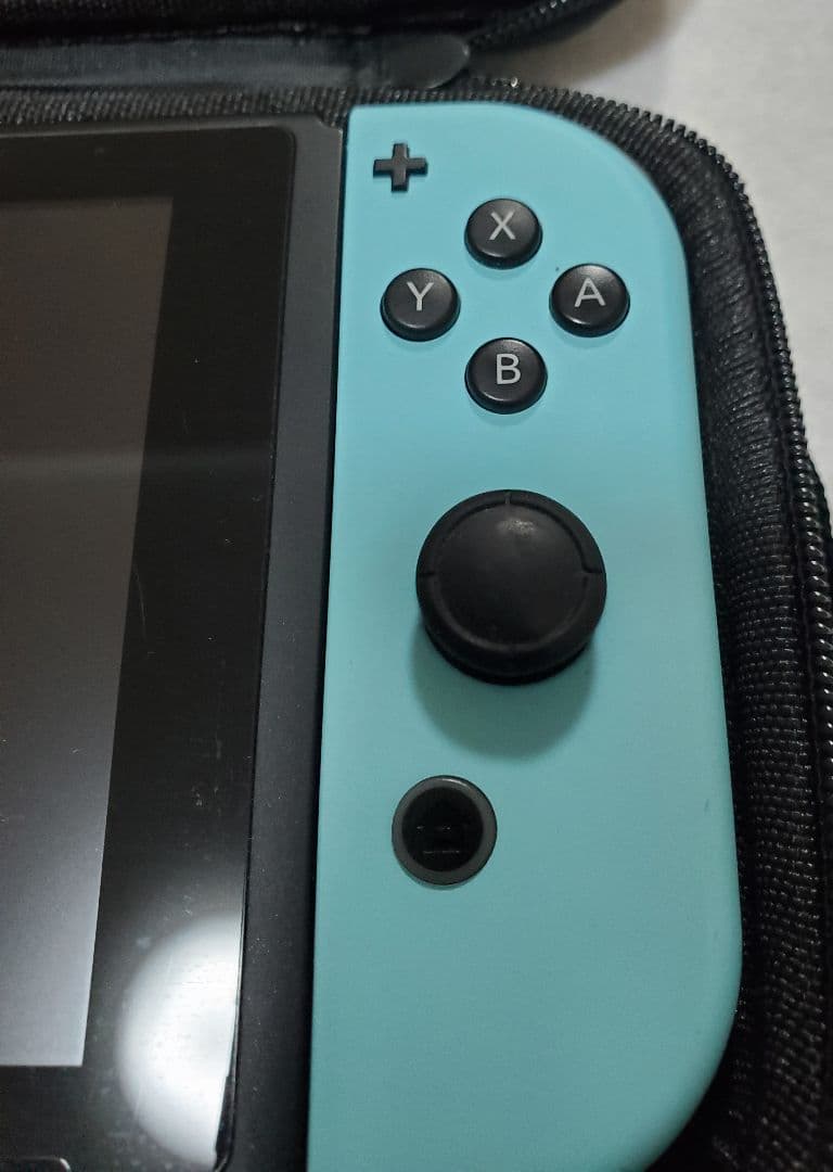 あつまれ どうぶつの森セット Nintendo Switch　ケース付き