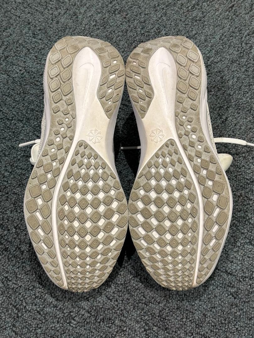 ナイキ ペガサス41 25.0cm