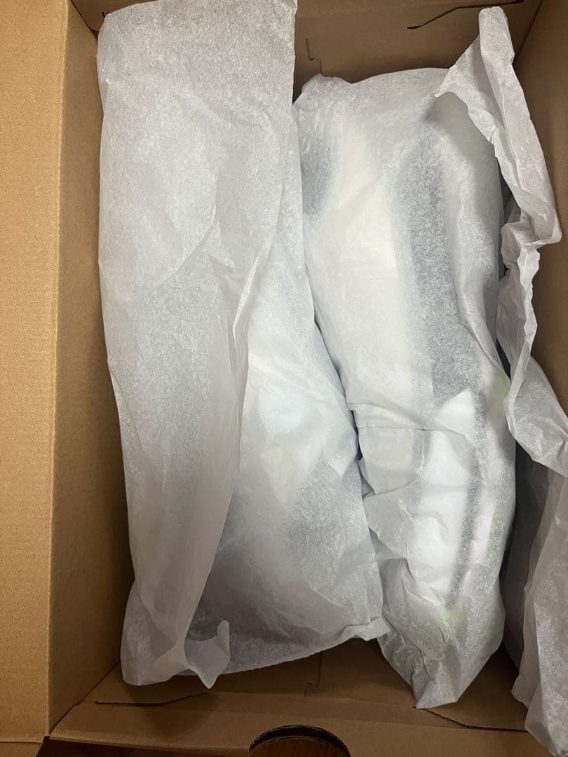 MIZUNO NEXLITE ZERO IG ホワイト ゴルフシューズ