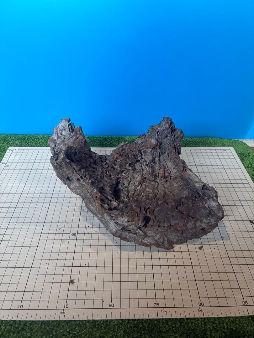 煮沸 沈水確認済み】No.0047 天然流木 アクアリウム 爬虫類用 - メルカリ
