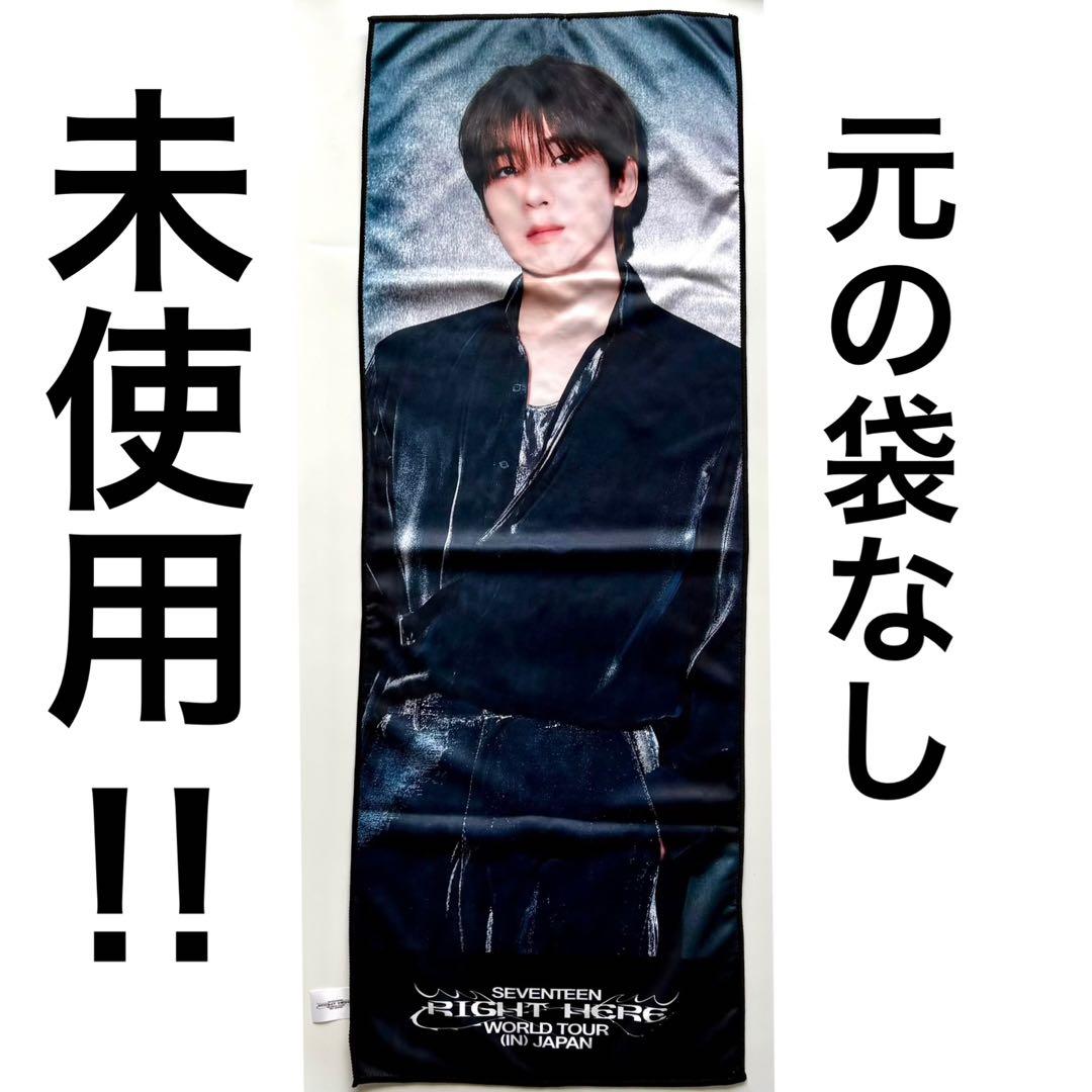 seventeen ビッグフォトタオル right here タオル ウォヌ