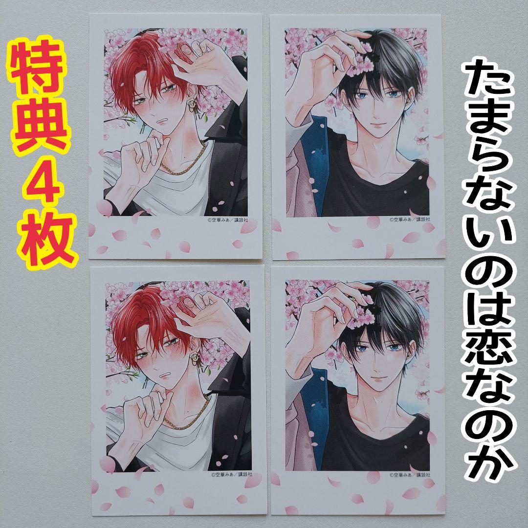 たまらないのは恋なのか 特典 イラストカード チェキ風カード 4枚 空華
