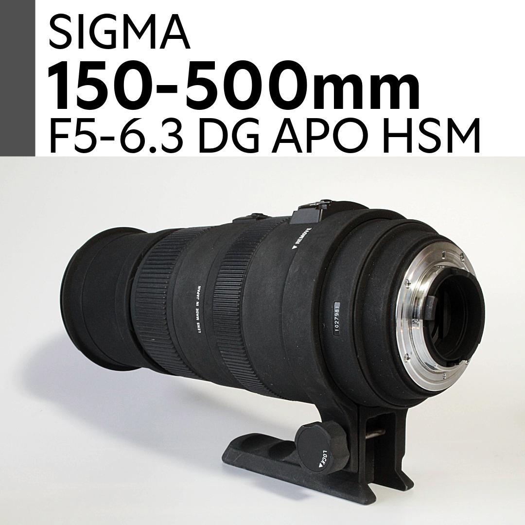 SIGMA APO 150-500mm F5-6.3 DG OS HSM ニコン