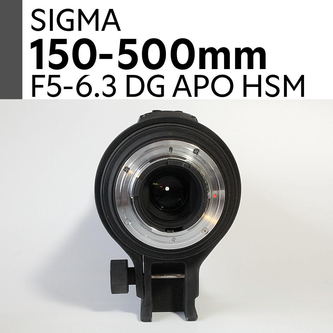 SIGMA APO 150-500mm F5-6.3 DG OS HSM ニコン