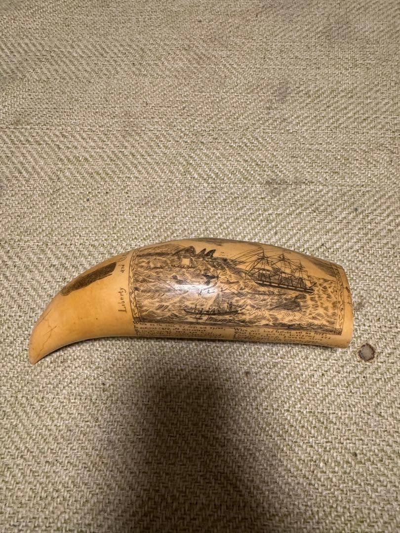 マッコウクジラ？ 鯨牙根付煎茶鉄瓶翡翠銀金香木古美術素材骨中国蒔絵標本