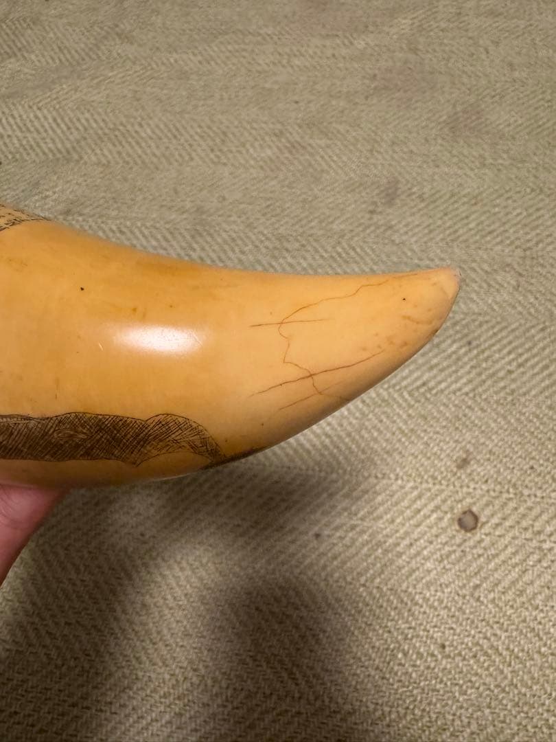 マッコウクジラ？ 鯨牙根付煎茶鉄瓶翡翠銀金香木古美術素材骨中国蒔絵標本