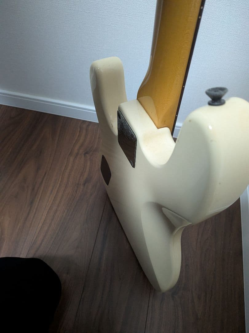 Fernandes Limited Edition ソフトケース新品弦付きます