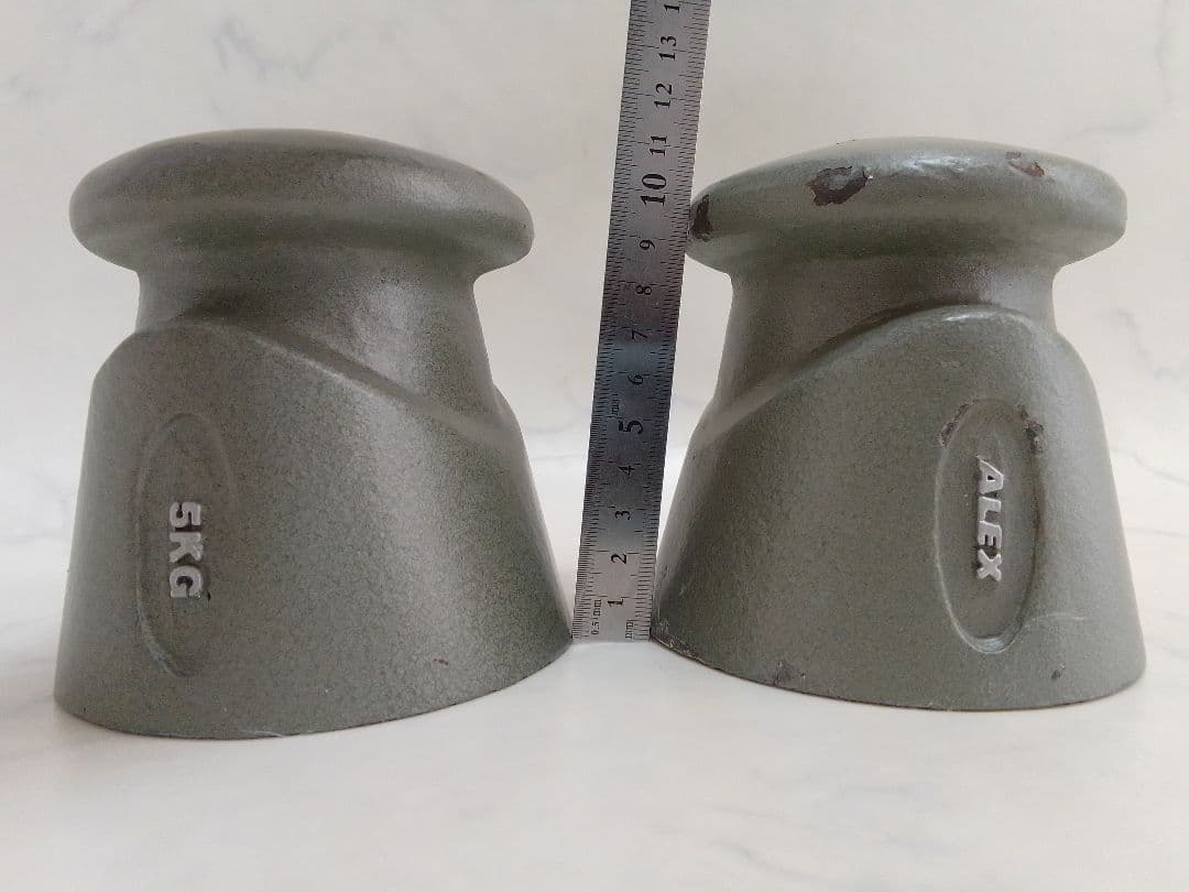 ALEX 5kg×2個セット 10kg イーグルクロー 握力 ダンベル ピンチ