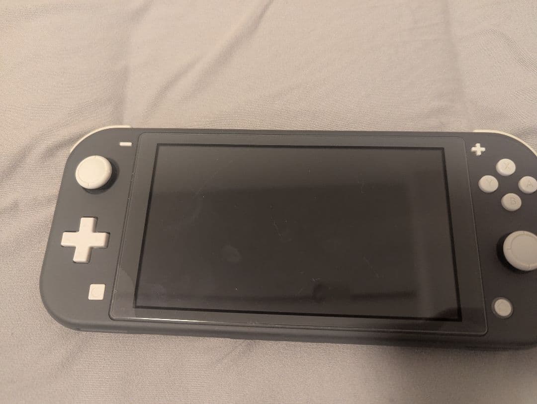 Nintendo Switch Lite グレー 本体　収納ケース付き