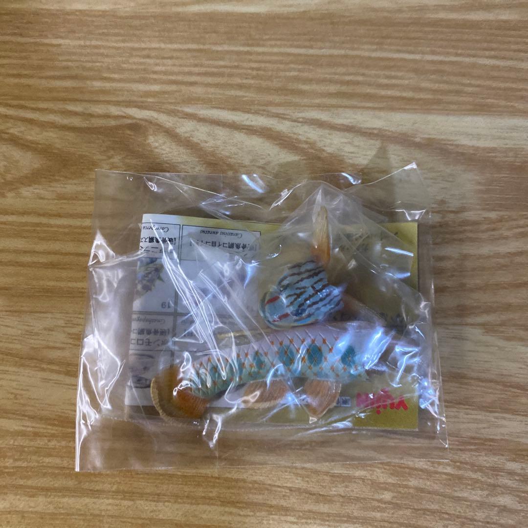 【未使用】YUJIN 原色淡水魚図鑑Ⅱ 19種