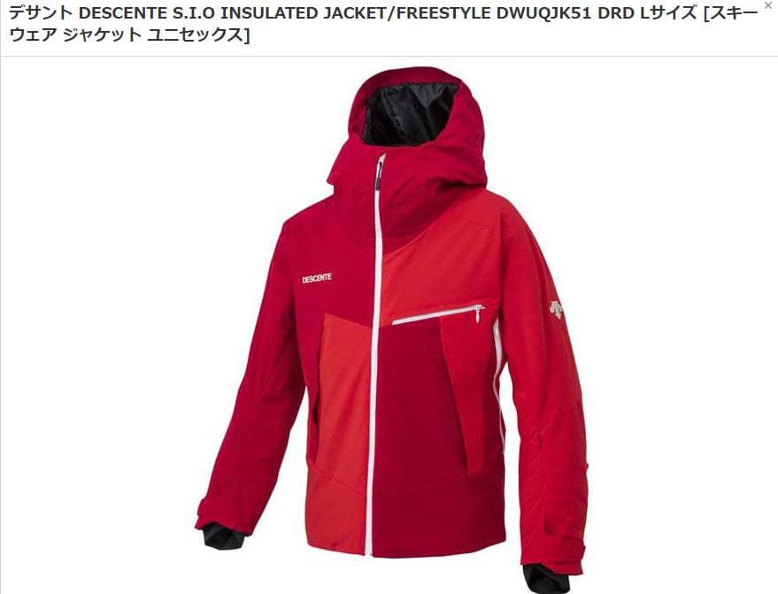 デサント スキーウェア 上下セット USED サイズ(Ｌ) 技術選着用モデル